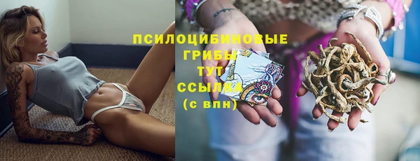 трава Нефтегорск